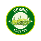 Bernie Elevage